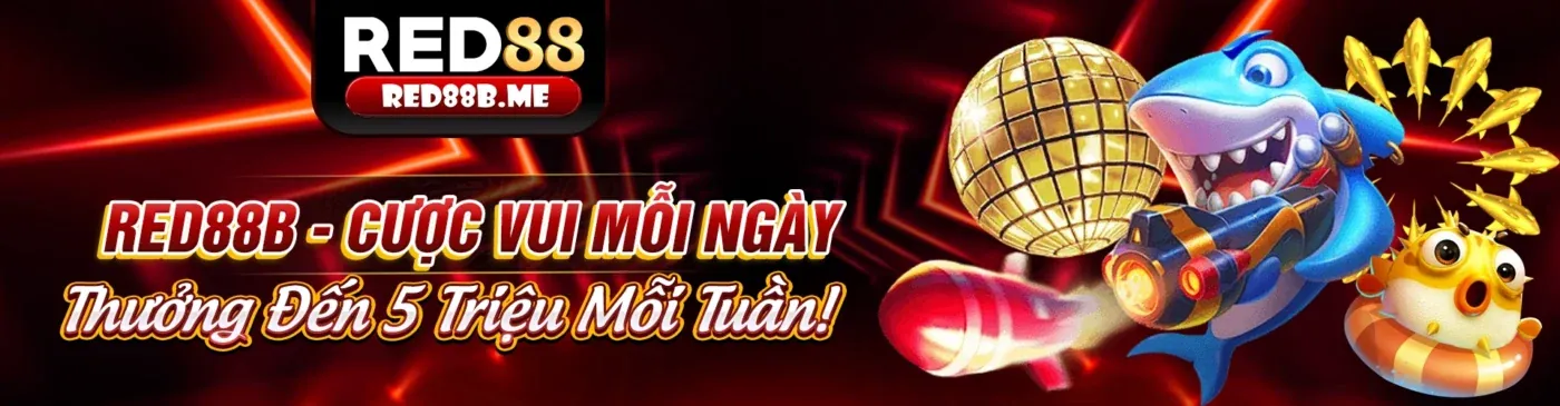 Hoàn trả cược thua V8Bet