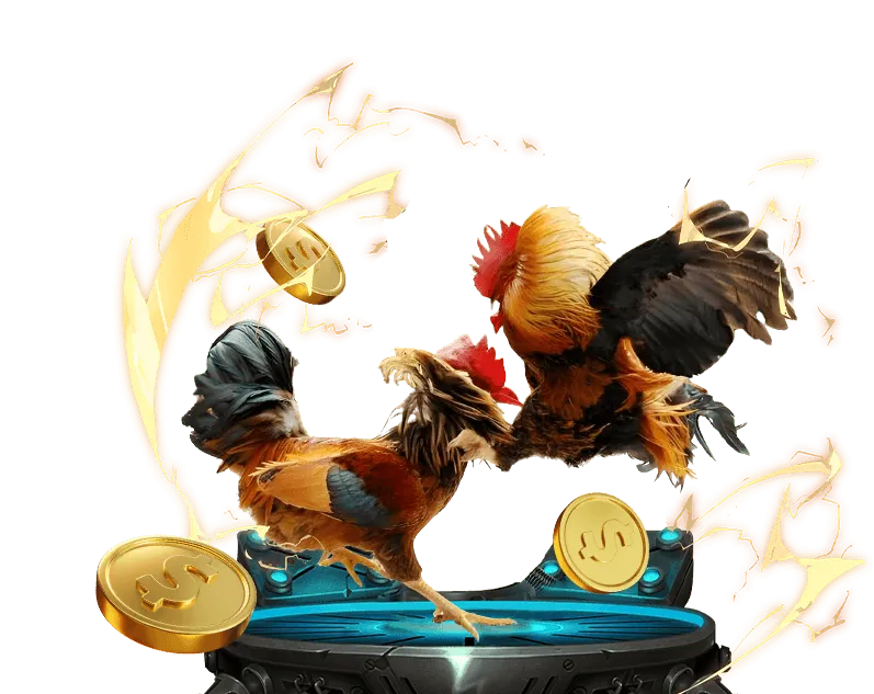 Hệ thống tường lửa V8Bet